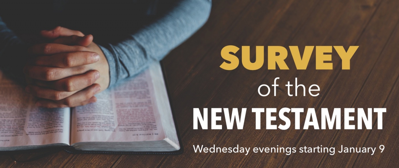 A Survey of the New Testament